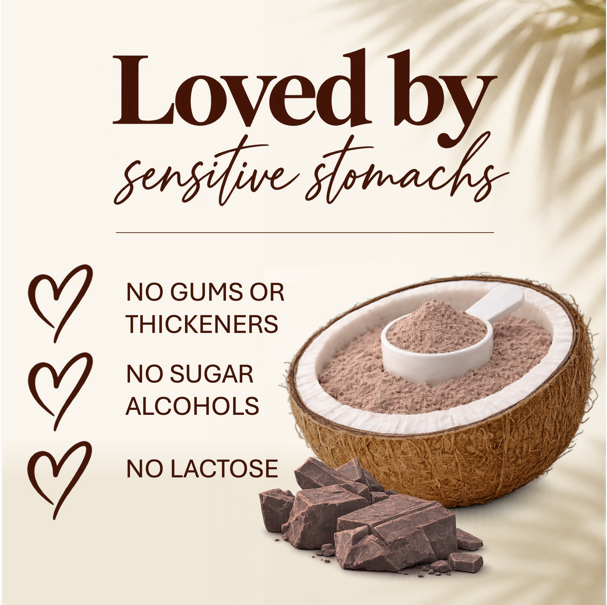 Coconut Protein Chocolate Cloud  600g